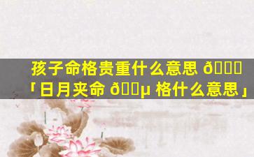 孩子命格贵重什么意思 🐛 「日月夹命 🐵 格什么意思」